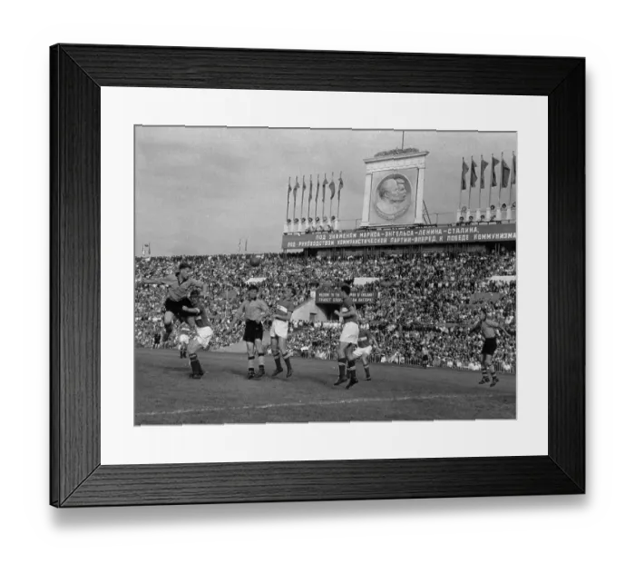Framed Print : Wolves In Moscow Framed Print : Wolves In Moscow