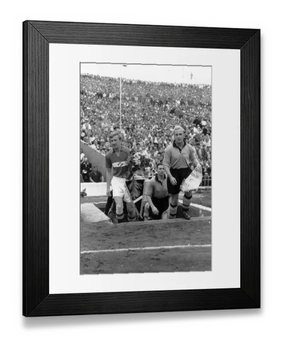 Framed Print : Wolves In Moscow Framed Print : Wolves In Moscow