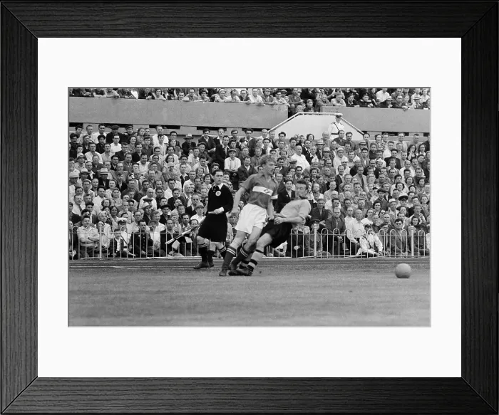 Framed Print : Wolves In Moscow Framed Print : Wolves In Moscow