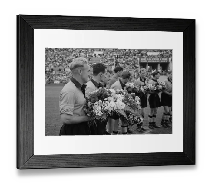 Framed Print : Wolves In Moscow Framed Print : Wolves In Moscow