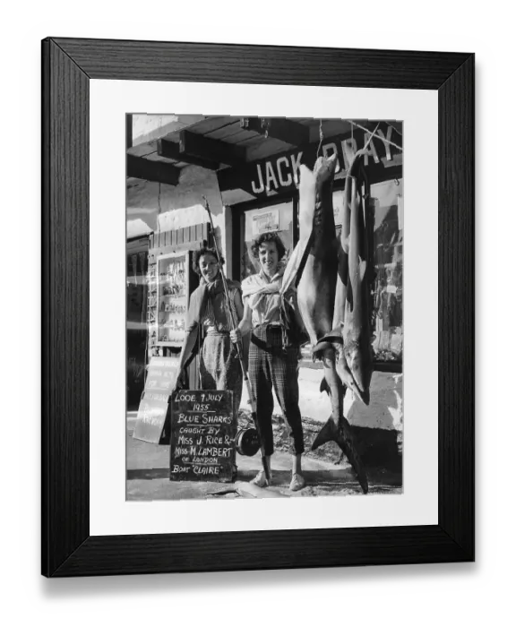Framed Print : Shark Fishing