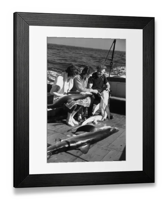 Framed Print : Blue Shark Catch Framed Print : Blue Shark Catch