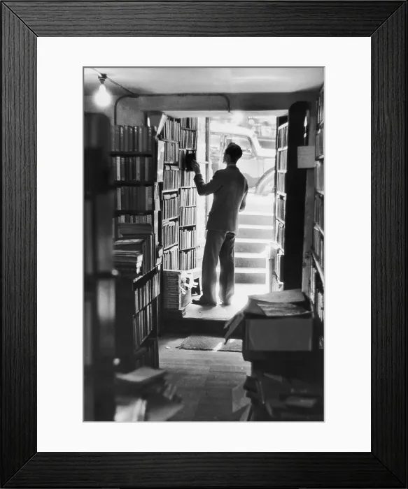 Framed Print : Avid Reader Framed Print : Avid Reader