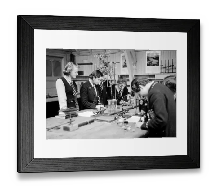 Framed Print : Science Class Framed Print : Science Class