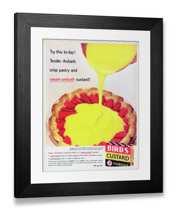 Framed Print : Bird's Custard Framed Print : Bird's Custard
