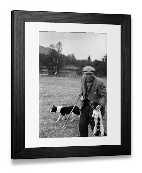 Framed Print : Scottish Shepherd Framed Print : Scottish Shepherd