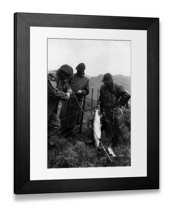 Framed Print : Anglers Admire Catch Framed Print : Anglers Admire Catch