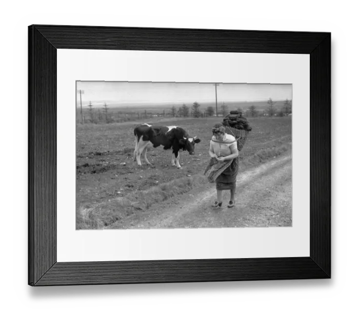 Framed Print : Needle Peat