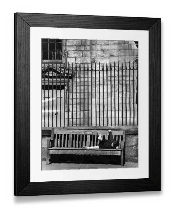 Framed Print : Parallel Lines Framed Print : Parallel Lines