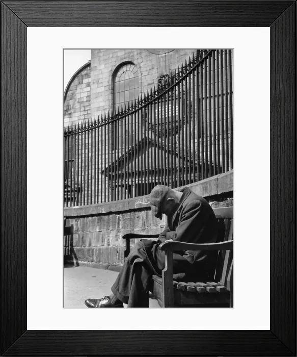 Framed Print : Forty Winks Framed Print : Forty Winks