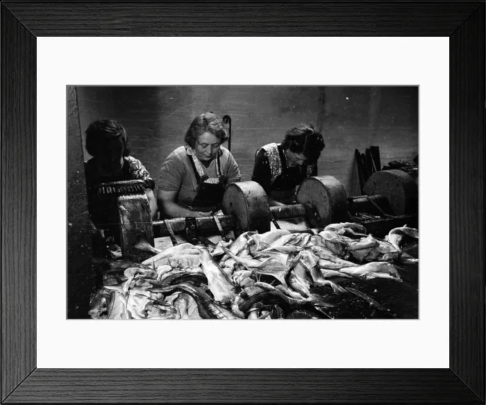 Framed Print : Preparing Haddock