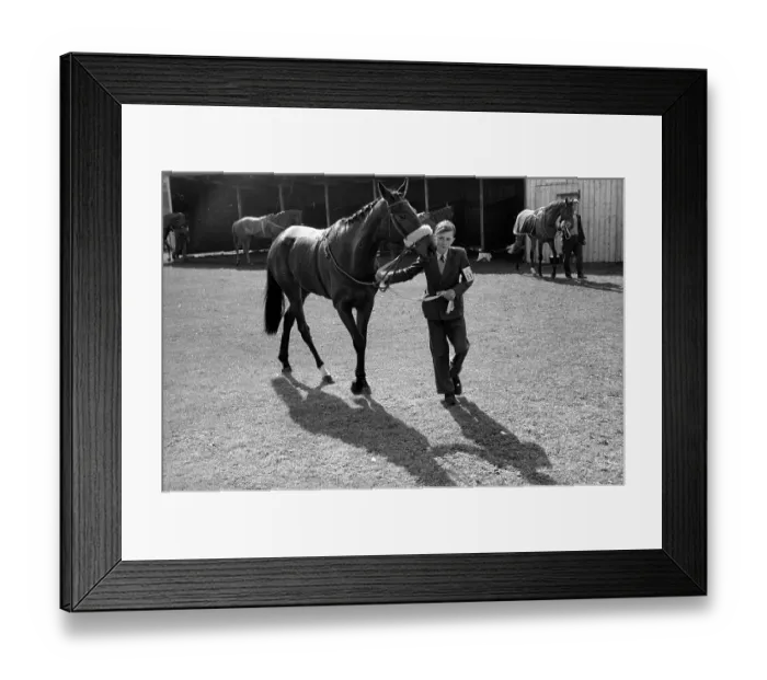 Framed Print : Racing Groom Framed Print : Racing Groom