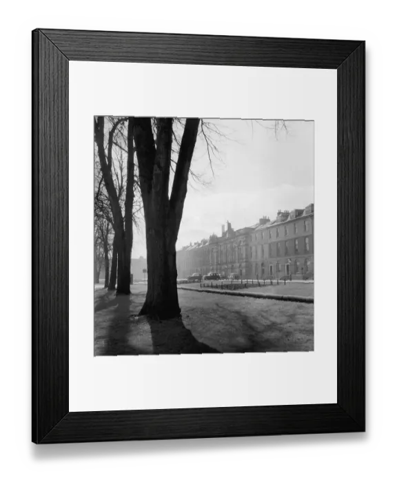 Framed Print : Rose Terrace Framed Print : Rose Terrace