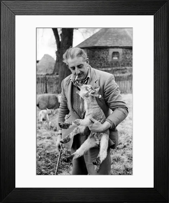 Framed Print : Sheep Farmer Framed Print : Sheep Farmer