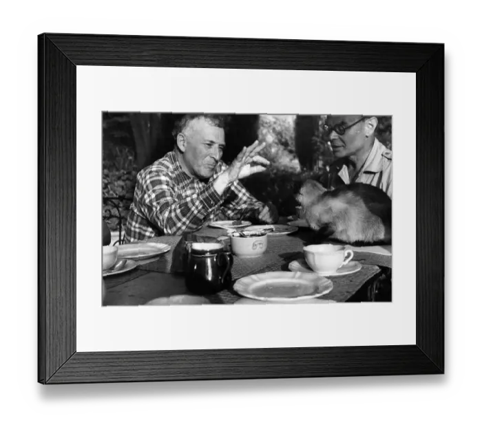 Framed Print : Marc Chagall Framed Print : Marc Chagall