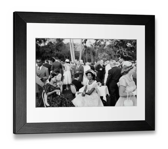 Framed Print : Caribbean Garden Party Framed Print : Caribbean Garden Party