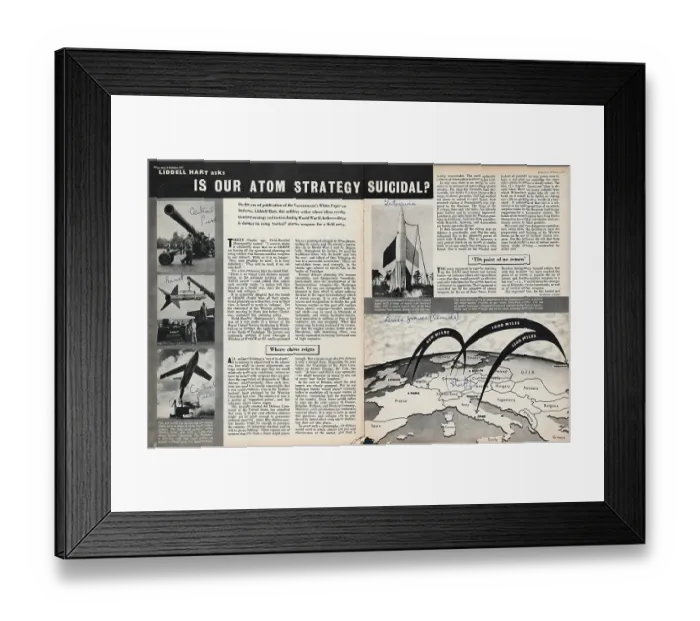 Framed Print : Is Our Atom Strategy Suicidal? Framed Print : Is Our Atom Strategy Suicidal?