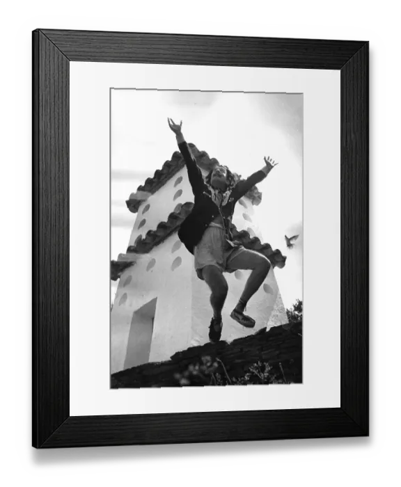 Framed Print : Dali Leaps Framed Print : Dali Leaps