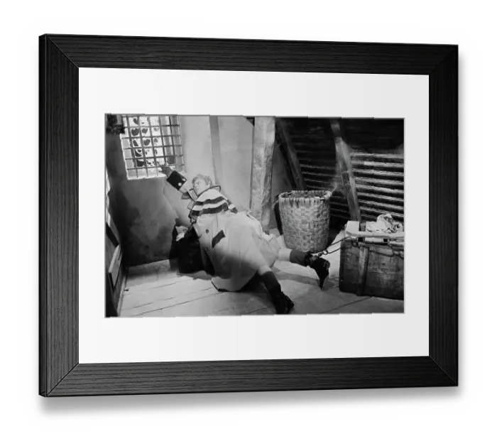 Framed Print : The Scarlet Pimpernel Framed Print : The Scarlet Pimpernel