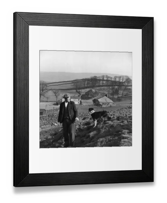 Framed Print : Lancashire Shepherd Framed Print : Lancashire Shepherd