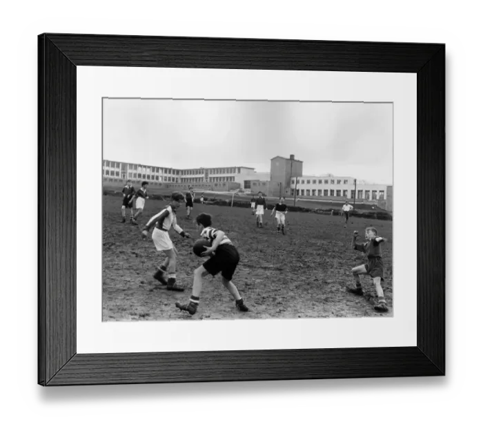 Framed Print : Comprehensive Framed Print : Comprehensive