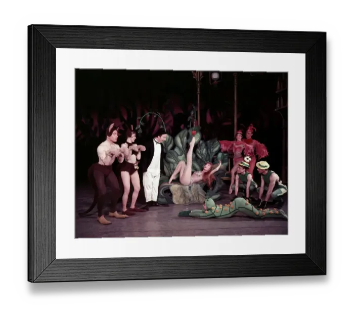 Framed Print : Theatre Show Framed Print : Theatre Show