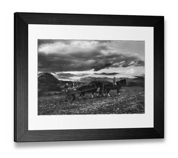 Framed Print : Going Home Framed Print : Going Home