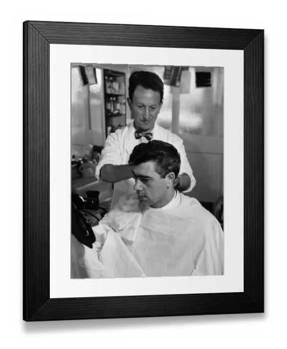 Framed Print : Sir Has Lovely Hair Framed Print : Sir Has Lovely Hair