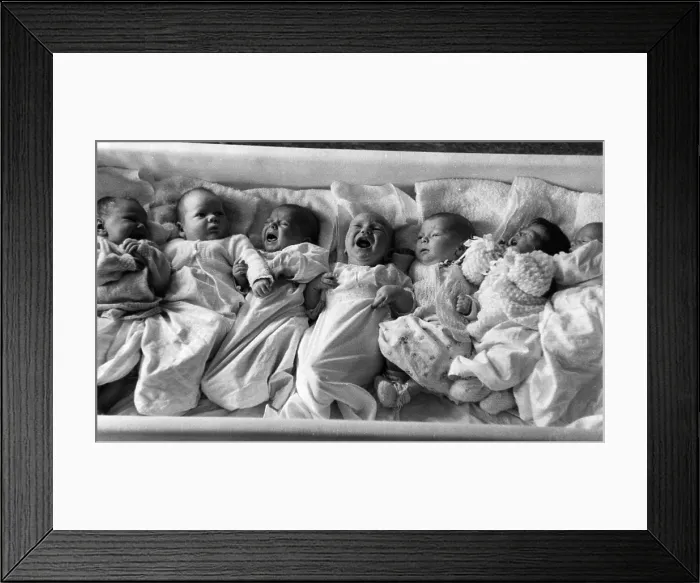 Framed Print : Line Them Up Framed Print : Line Them Up