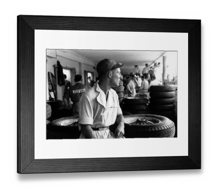 Framed Print : Moody Moss Framed Print : Moody Moss