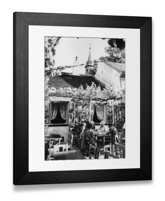 Framed Print : Beethoven's House Framed Print : Beethoven's House