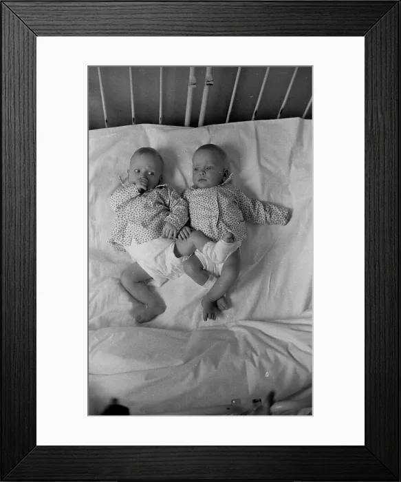 Framed Print : Siamese Twins Framed Print : Siamese Twins