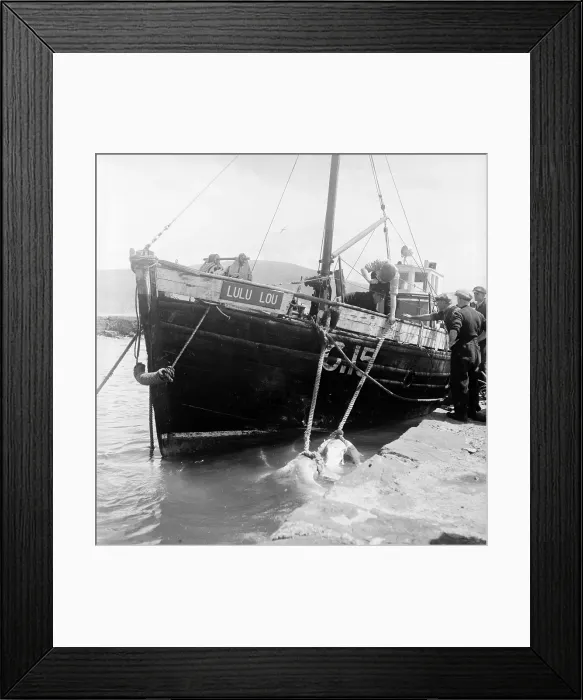 Framed Print : Shark Boat Framed Print : Shark Boat