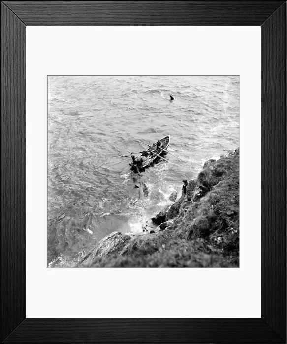 Framed Print : Shark In Sight Framed Print : Shark In Sight