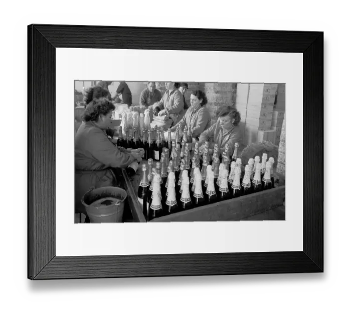 Framed Print : Wine Bottles Framed Print : Wine Bottles