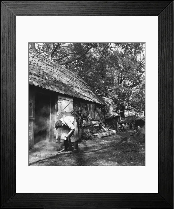 Framed Print : Smithy. A blacksmith shoes a cart horse at his forge Framed Print : Smithy. A blacksmith shoes a cart horse at his forge