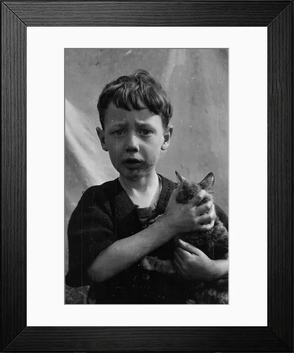 Framed Print : Boy With Cat Framed Print : Boy With Cat