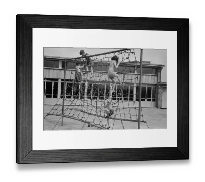 Framed Print : Climbing Net Framed Print : Climbing Net