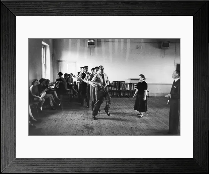Framed Print : Wild Violets In Plymouth Framed Print : Wild Violets In Plymouth