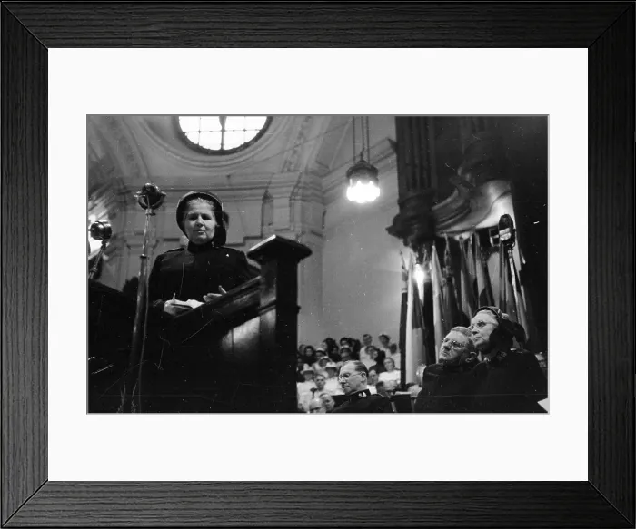 Framed Print : Irene Peyron