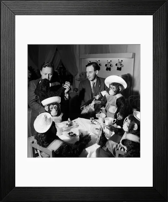 Framed Print : Chimps Tea Party Framed Print : Chimps Tea Party