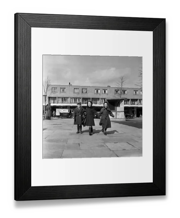Framed Print : Three Friends Framed Print : Three Friends