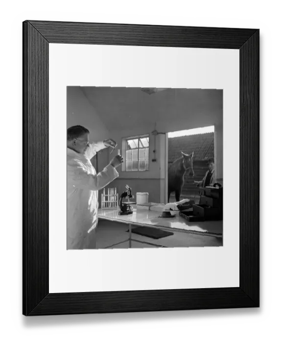 Framed Print : Ireland's Hope Framed Print : Ireland's Hope