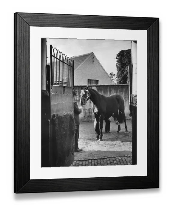 Framed Print : Coneyburrow Framed Print : Coneyburrow