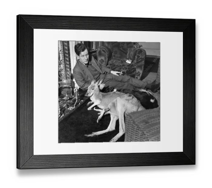 Framed Print : Kangaroos By The Fire Framed Print : Kangaroos By The Fire