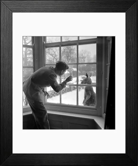 Framed Print : Its Cold Out Here Framed Print : Its Cold Out Here