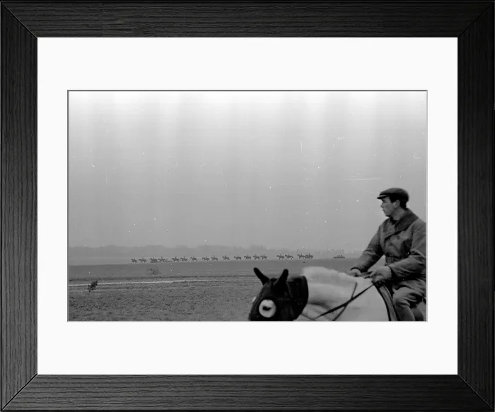 Framed Print : Hooded Horse Framed Print : Hooded Horse