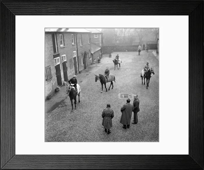 Framed Print : Raising Horses
