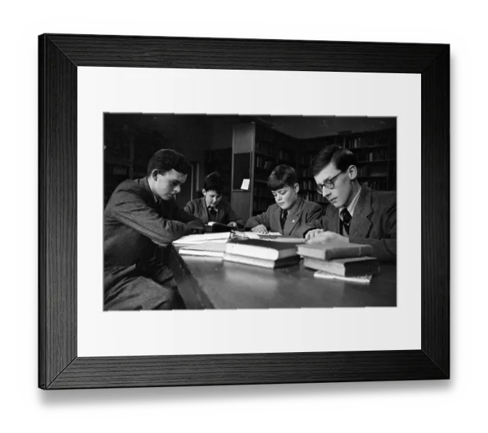 Framed Print : Junior Wisdom Framed Print : Junior Wisdom