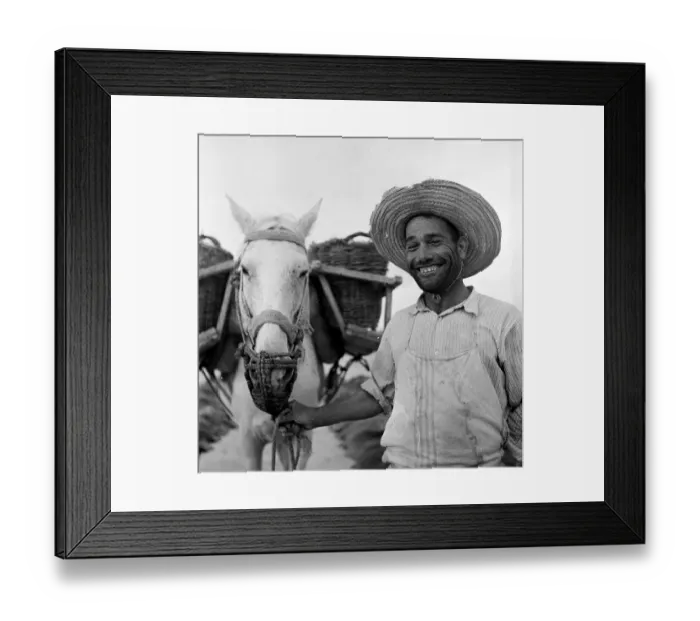 Framed Print : Harvest Worker Framed Print : Harvest Worker